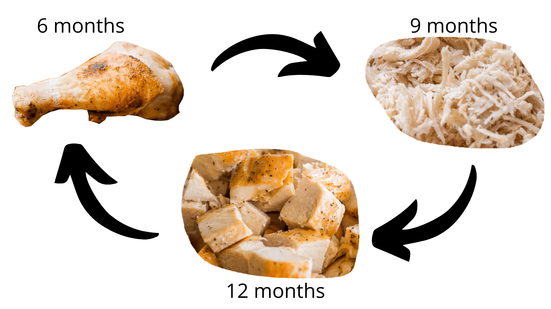 Chicken drumstick at 6 months, shredded chicken at 9 months, and chopped chicken at 12 months.