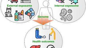 Diagram of the exposome and genome leading to health outcomes.