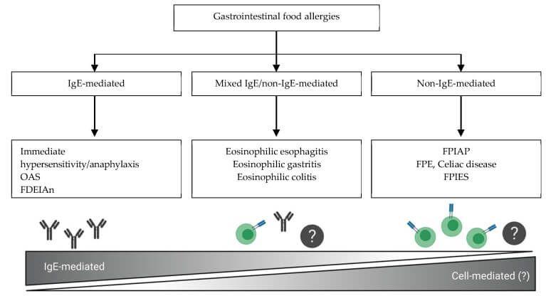 Diagram of the different gastrointestinal food allergies.