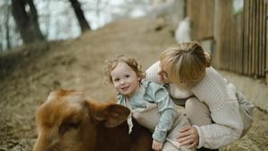 Mother helping her toddler ride a cow.