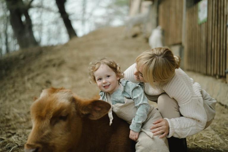 Mother helping her toddler ride a cow.