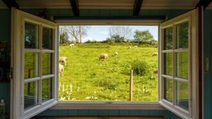 Open window leading to a pasture.