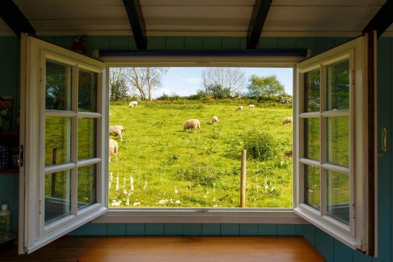 Open window leading to a pasture.