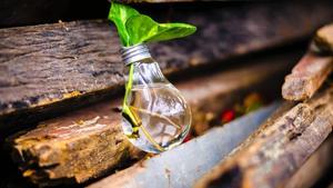 A lightbulb with a plant growing out of it.