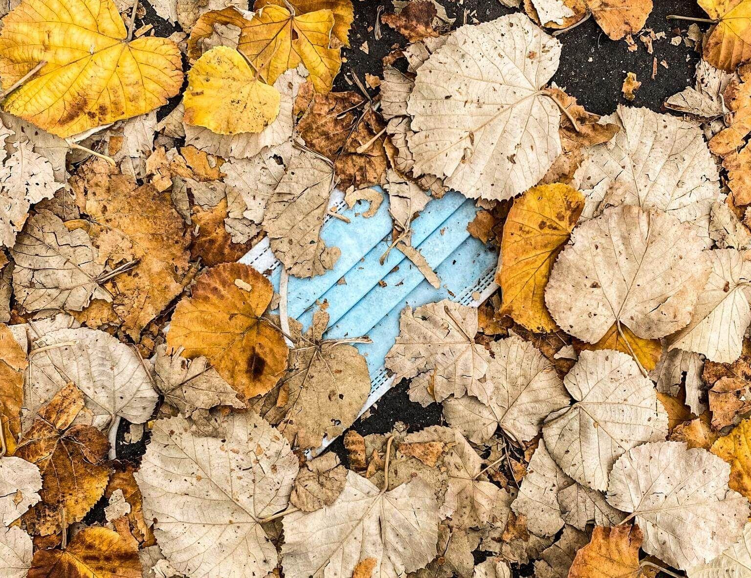 Mask buried under leaves.